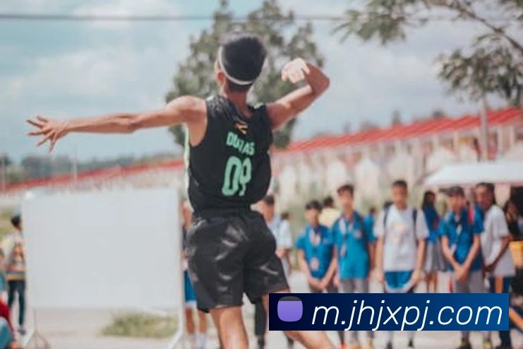 新葡京娱乐平台生态图